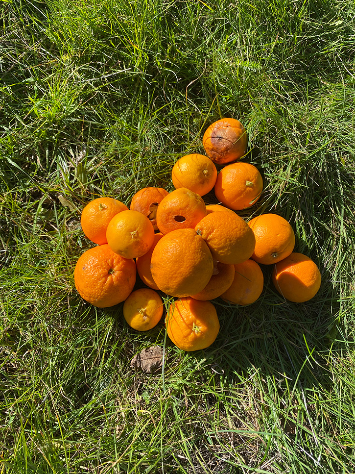 220x160 DIVERSITY MW def IMG 5009 72dpi