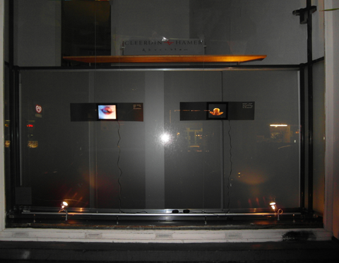 ShopWindow vander Hlstpl the skin in wich i live 02 480pix