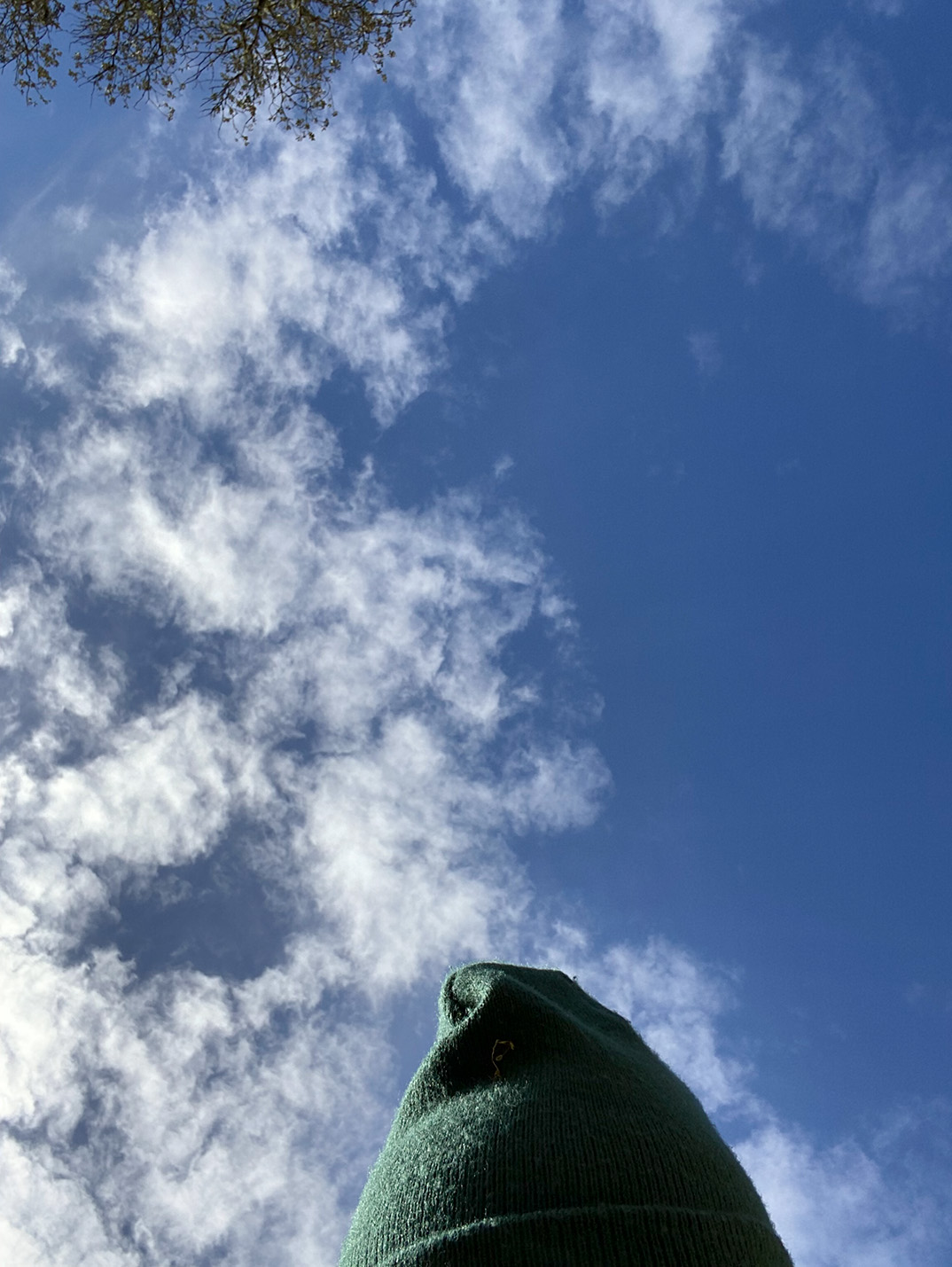 480 Margreetkramer THE ORANGE PICKER 3 4789 72dpi