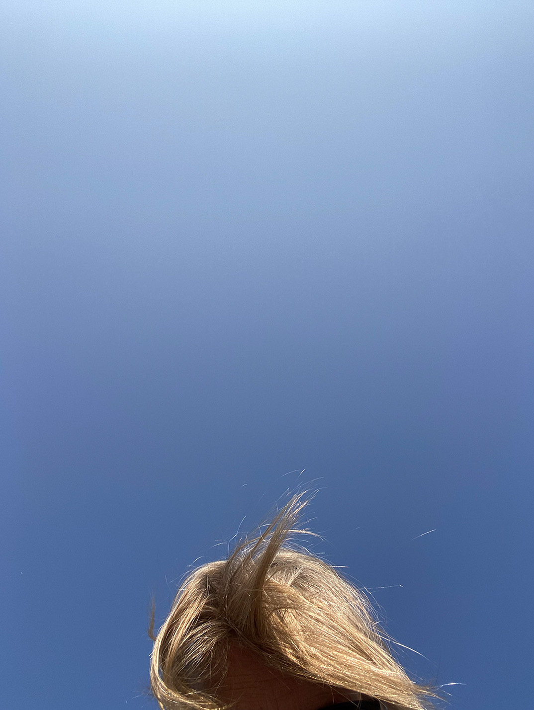 480 THE ORANGE PICKER 1 Margreetkramer 72dpi