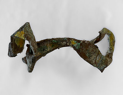 480x372 APPLE PEEL BRONZE 2