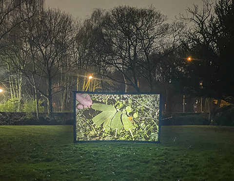 IMG 0024 480x372 MVW