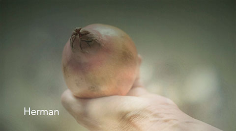 480 HERMAN interactiefvideoproject margreetkramer