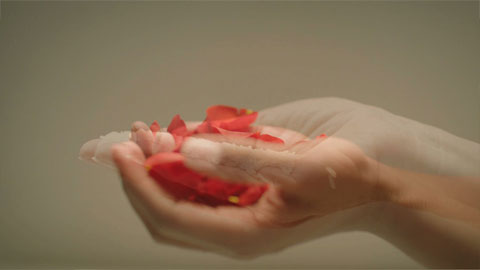 felicity of a rice grain - video still Margreet Kramer